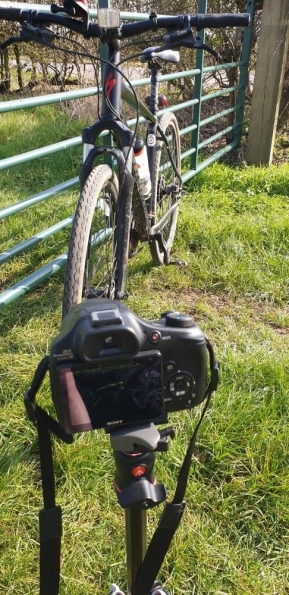 Manfrotto Befree Compact Travel Tripod