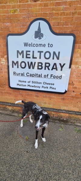 Bugsy at Melton Mowbray railway station 