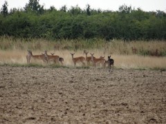 dsc00623