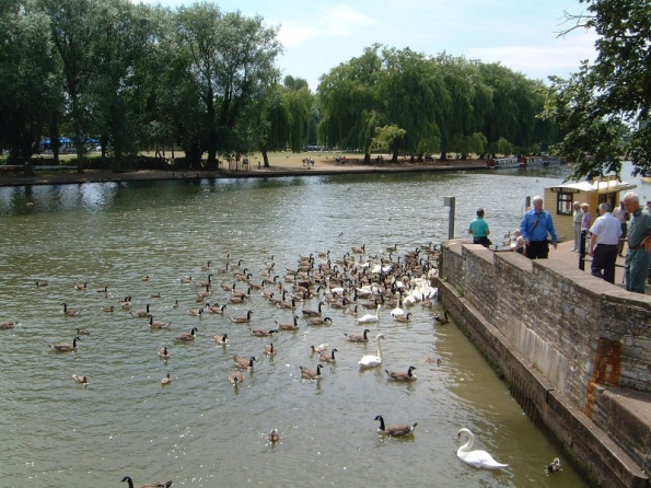 River Avon