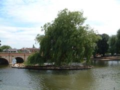 River Avon