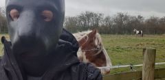Pup hood and 2XU A:1 Active wetsuit