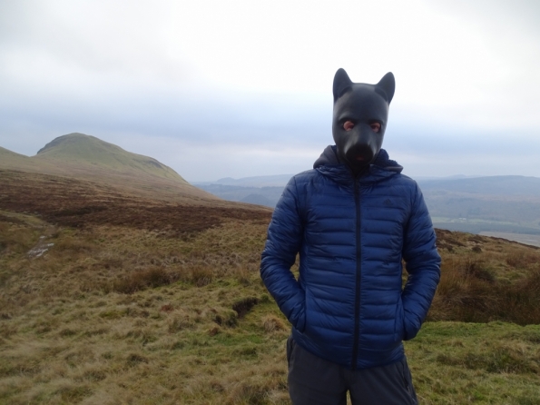 Pup play up the Campsie Fells