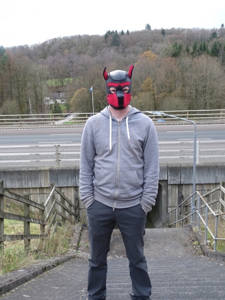 Neoprene Pup Hood