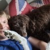 What are Bugsy and Ted both like?!?!