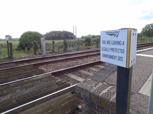 Buckenham railway station