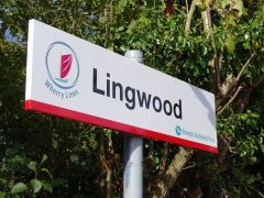 Lingwood railway station