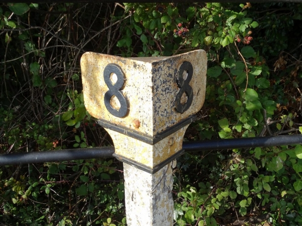 Lingwood railway station