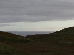 dsc01520