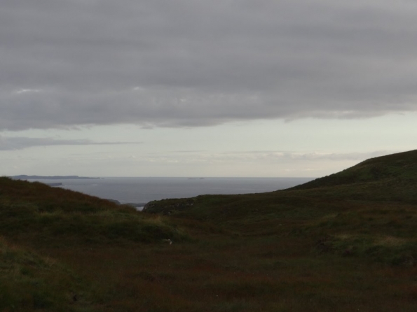 dsc01520